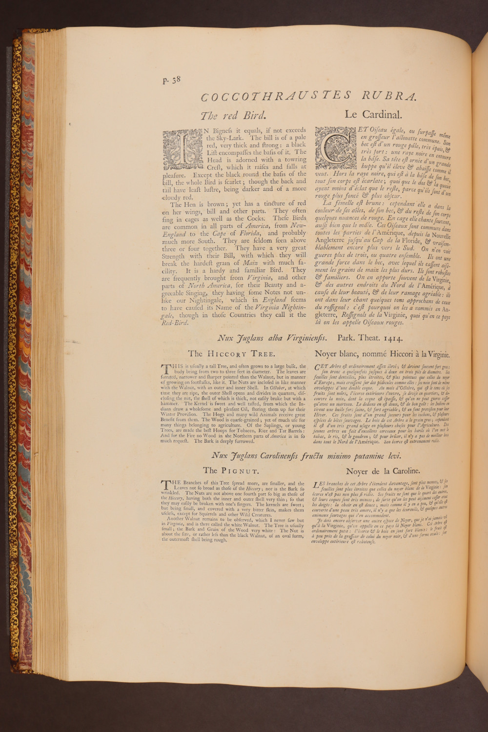 Page 38